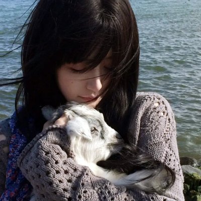 超速快感 封面
